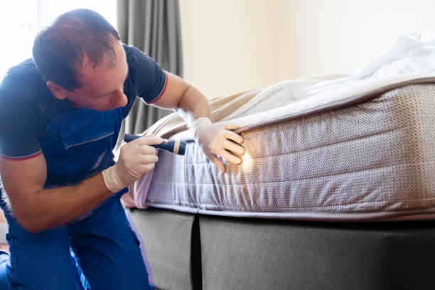 Best Fumigation Services  in USA